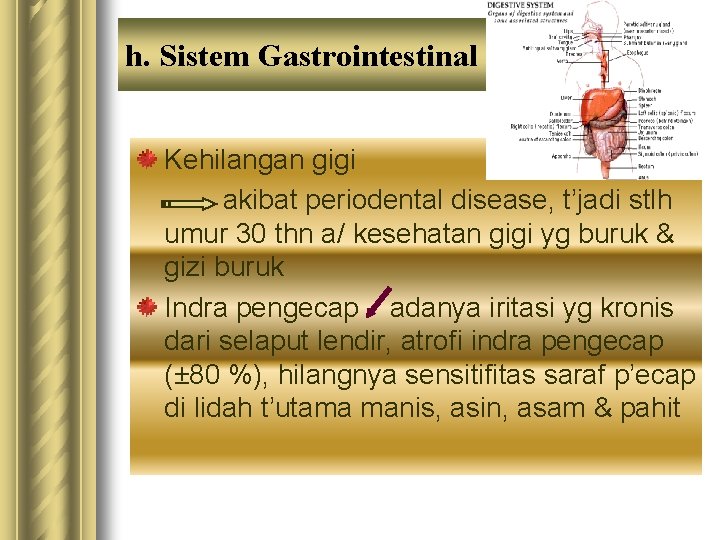 h. Sistem Gastrointestinal Kehilangan gigi akibat periodental disease, t’jadi stlh umur 30 thn a/