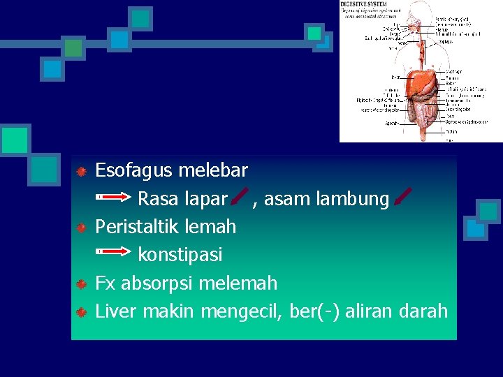 Esofagus melebar Rasa lapar , asam lambung Peristaltik lemah konstipasi Fx absorpsi melemah Liver