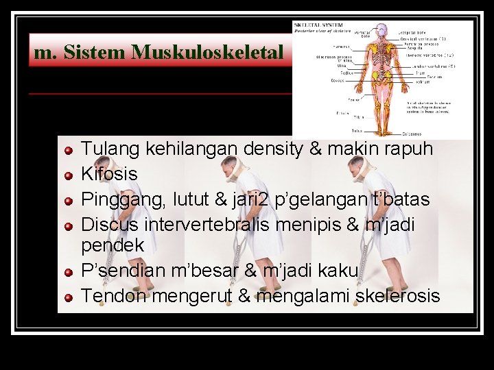 m. Sistem Muskuloskeletal Tulang kehilangan density & makin rapuh Kifosis Pinggang, lutut & jari