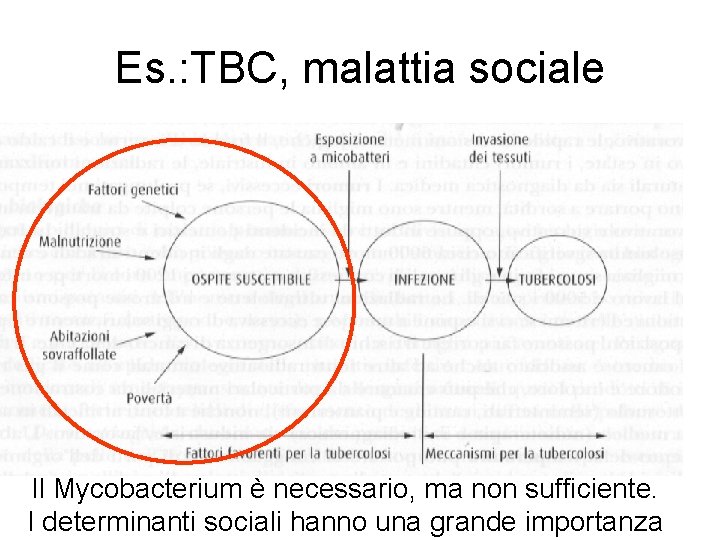 Es. : TBC, malattia sociale Il Mycobacterium è necessario, ma non sufficiente. I determinanti