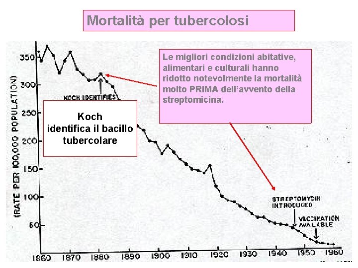 Mortalità per tubercolosi Le migliori condizioni abitative, alimentari e culturali hanno ridotto notevolmente la