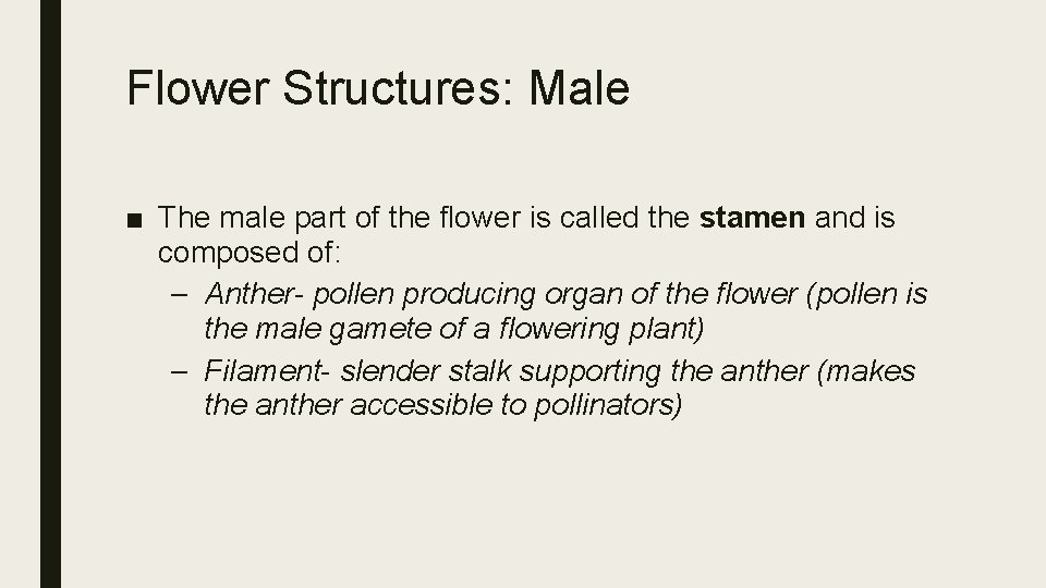 Flower Structures: Male ■ The male part of the flower is called the stamen