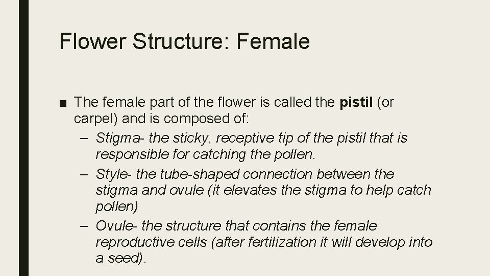 Flower Structure: Female ■ The female part of the flower is called the pistil