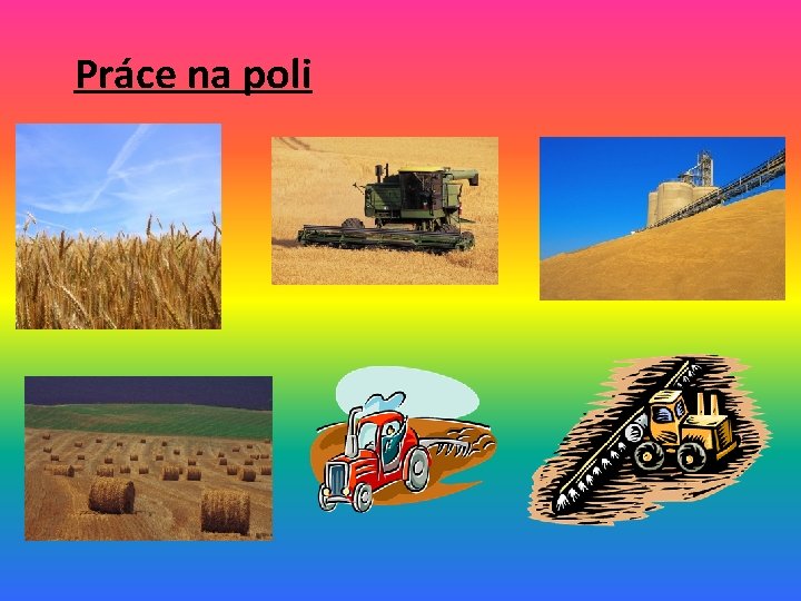 Práce na poli 