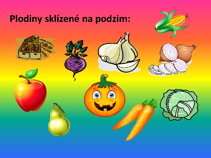 Plodiny sklízené na podzim: 