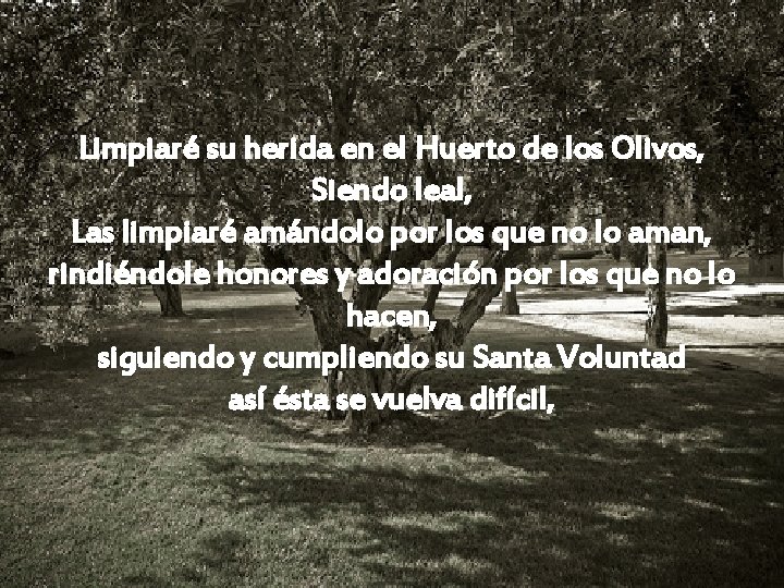 Limpiaré su herida en el Huerto de los Olivos, Siendo leal, Las limpiaré amándolo