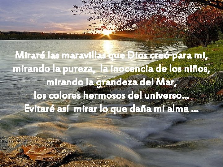 Miraré las maravillas que Dios creó para mi, mirando la pureza, la inocencia de