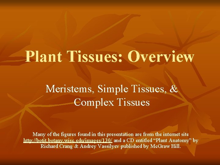 Plant Tissues: Overview Meristems, Simple Tissues, & Complex Tissues Many of the figures found
