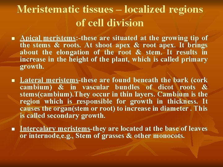 Meristematic tissues – localized regions of cell division n Apical meristems: -these are situated