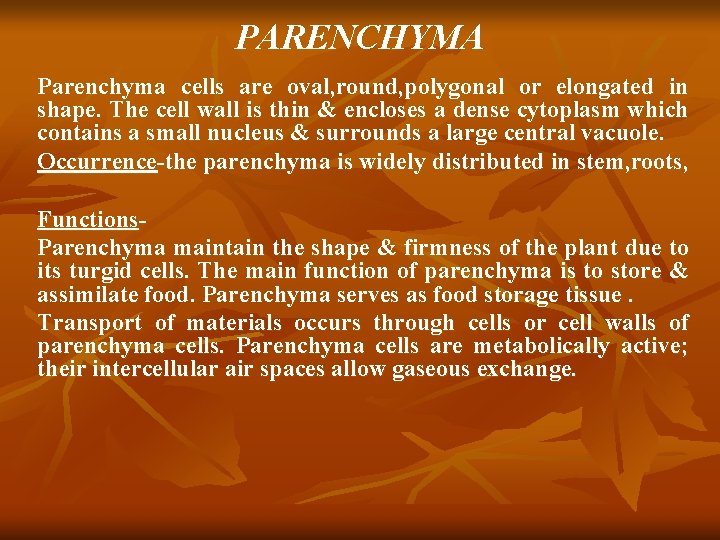 PARENCHYMA Parenchyma cells are oval, round, polygonal or elongated in shape. The cell wall