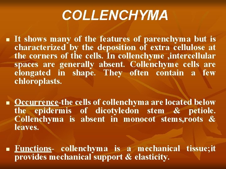 COLLENCHYMA n n n It shows many of the features of parenchyma but is