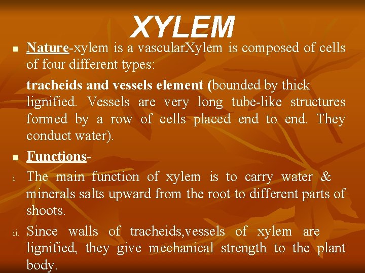 n n i. ii. XYLEM Nature-xylem is a vascular. Xylem is composed of cells