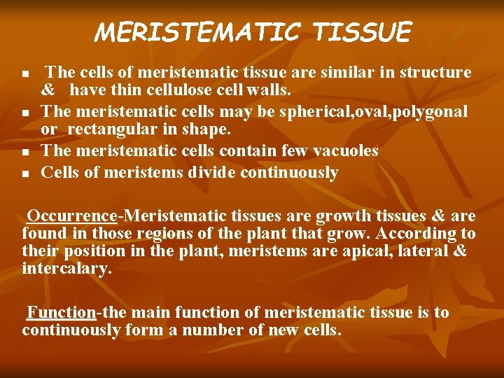 MERISTEMATIC TISSUE n n The cells of meristematic tissue are similar in structure &