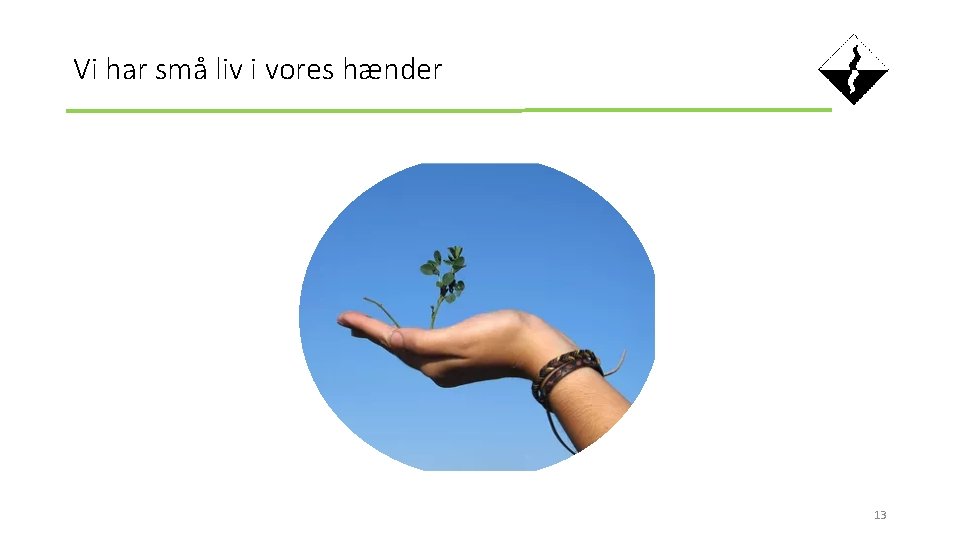 Vi har små liv i vores hænder 13 