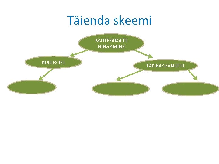 Täienda skeemi KAHEPAIKSETE HINGAMINE KULLESTEL TÄISKASVANUTEL 