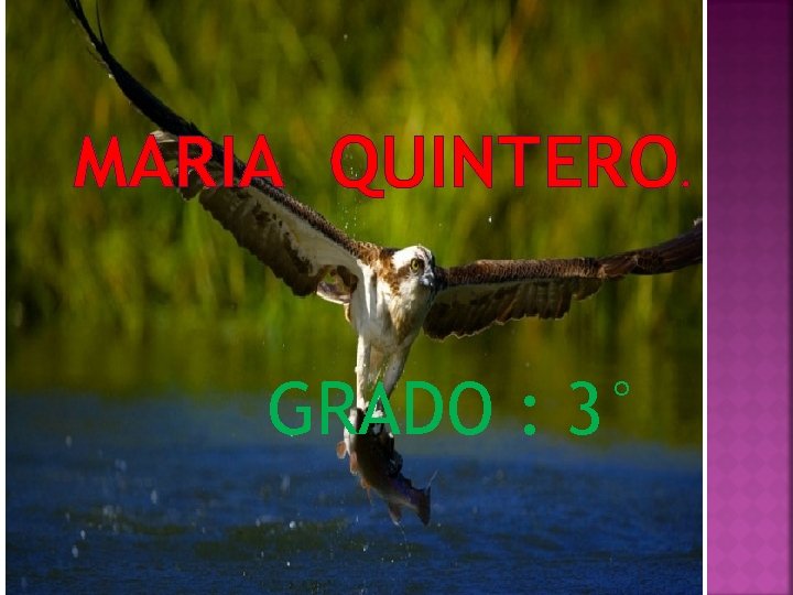 MARIA QUINTERO. GRADO : 3° 