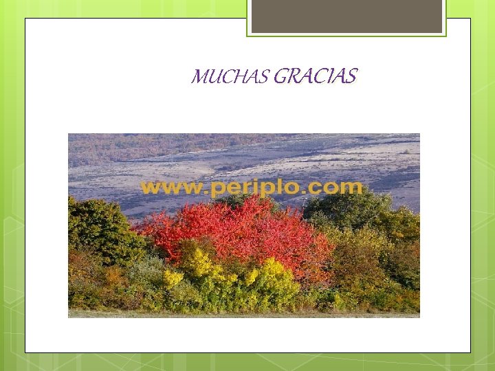 MUCHAS GRACIAS 