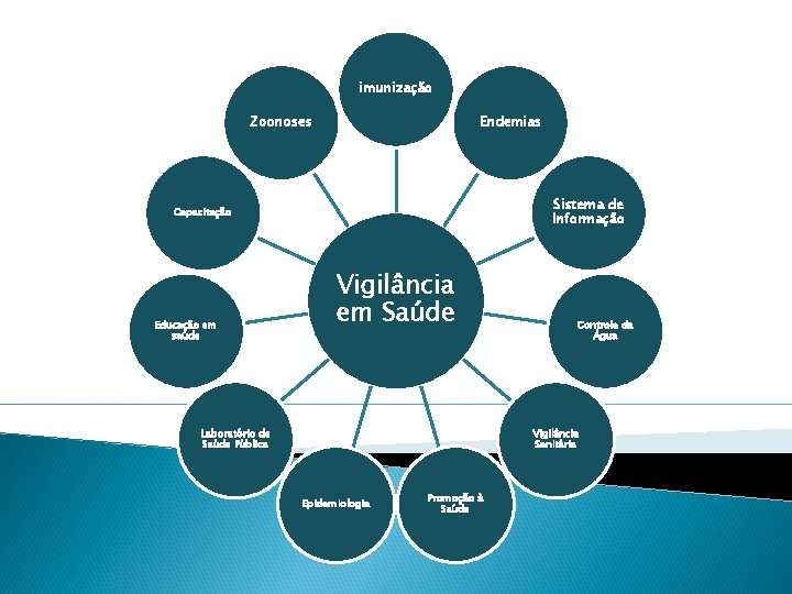 imunização Zoonoses Endemias Sistema de Informação Capacitação Educação em saúde Vigilância em Saúde Laboratório