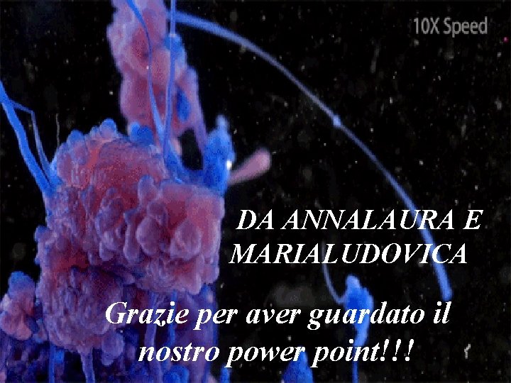 DA ANNALAURA E MARIALUDOVICA Grazie per aver guardato il nostro power point!!! DA ANNALAURA E MARIALUDOVICA Grazie per aver guardato il nostro power point!!!