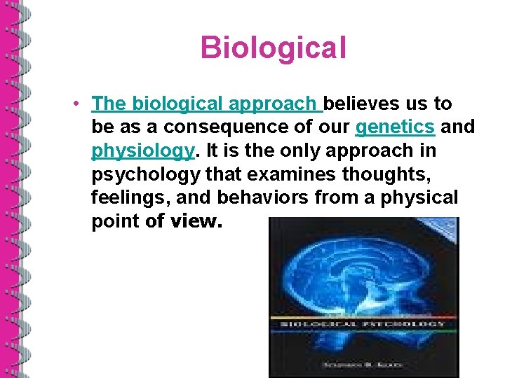 Biological • The biological approach believes us to be as a consequence of our
