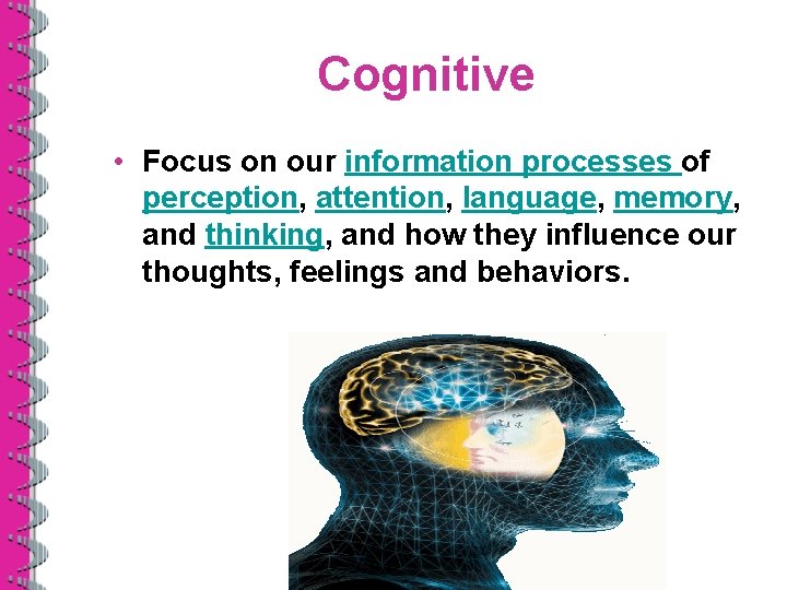Cognitive • Focus on our information processes of perception, attention, language, memory, and thinking,