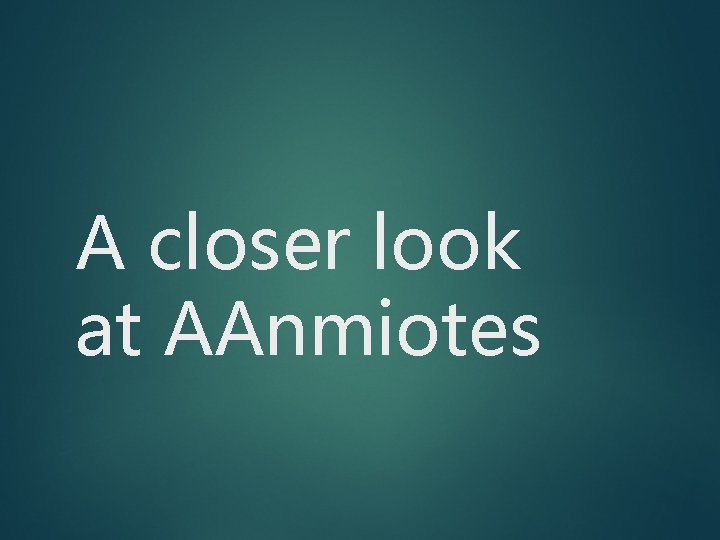 A closer look at AAnmiotes 