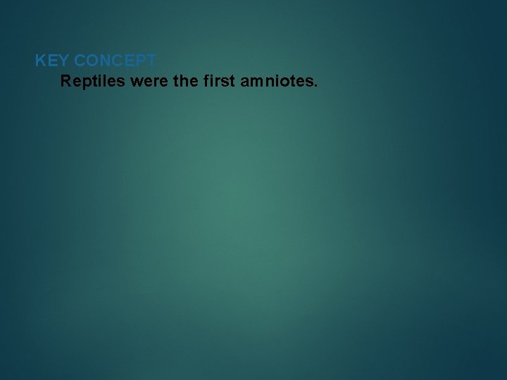 KEY CONCEPT Reptiles were the first amniotes. 