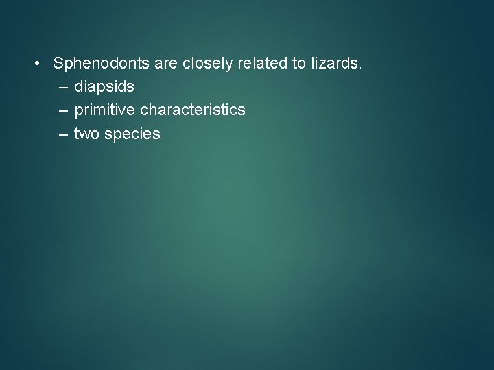  • Sphenodonts are closely related to lizards. – diapsids – primitive characteristics –