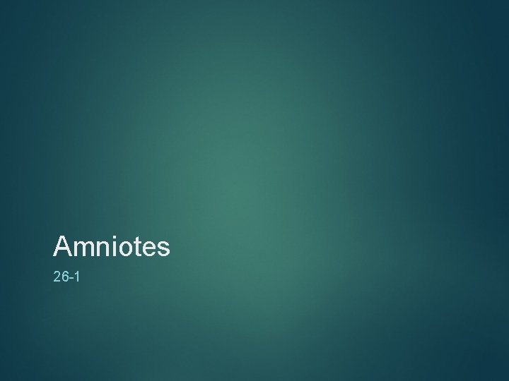 Amniotes 26 -1 