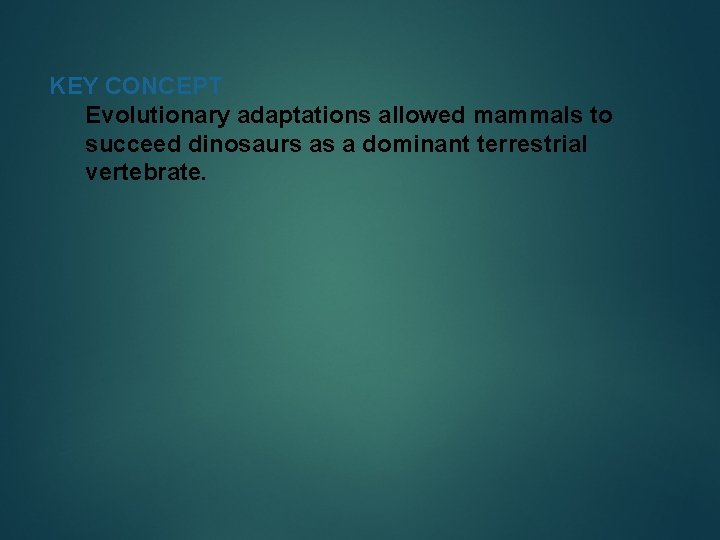 KEY CONCEPT Evolutionary adaptations allowed mammals to succeed dinosaurs as a dominant terrestrial vertebrate.