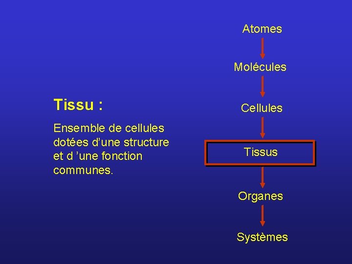 Atomes Molécules Tissu : Cellules Ensemble de cellules dotées d’une structure et d ’une