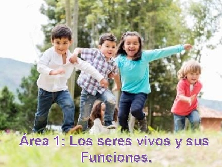 Área 1: Los seres vivos y sus Funciones. 