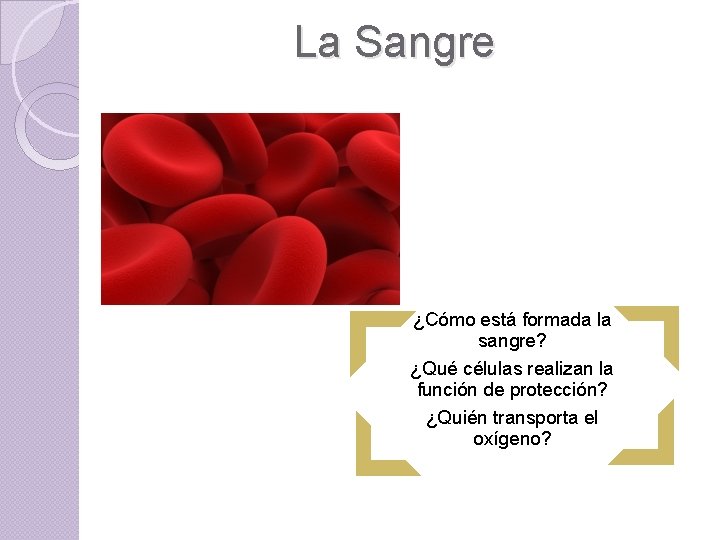 La Sangre ¿Cómo está formada la sangre? ¿Qué células realizan la función de protección?