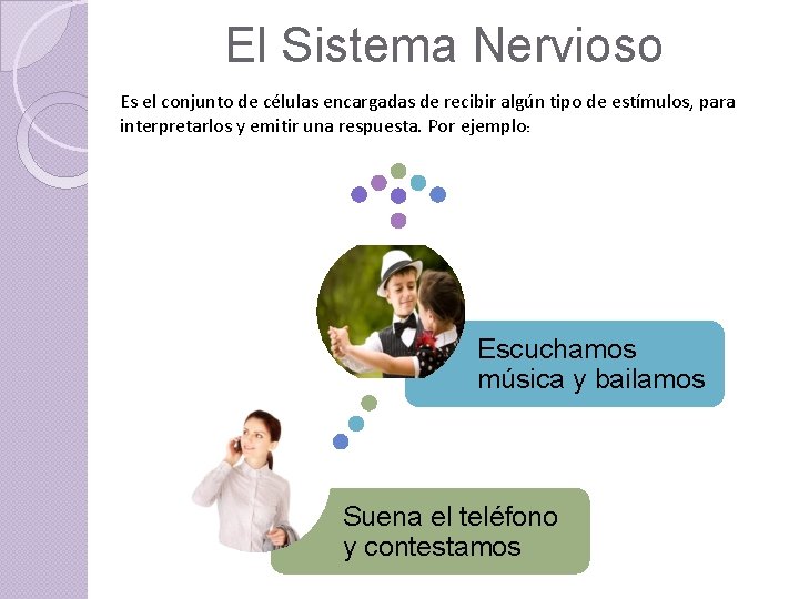 El Sistema Nervioso Es el conjunto de células encargadas de recibir algún tipo de