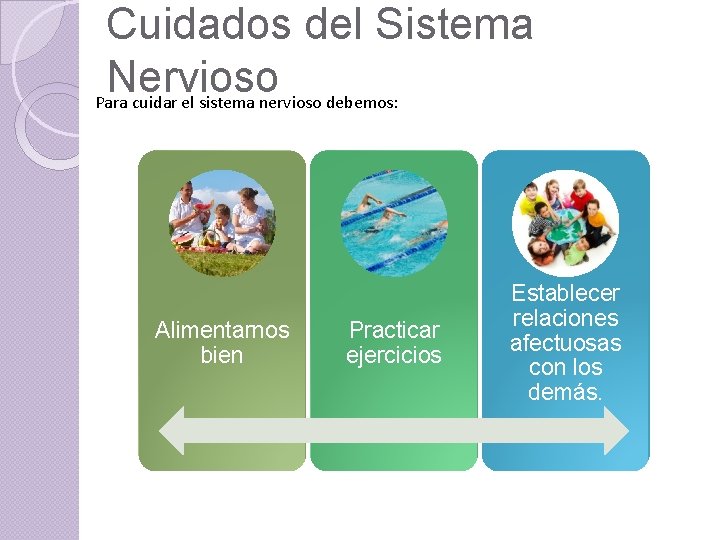 Cuidados del Sistema Nervioso Para cuidar el sistema nervioso debemos: Alimentarnos bien Practicar ejercicios