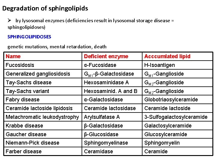 Degradation of sphingolipids Ø by lysosomal enzymes (deficiencies result in lysosomal storage disease =