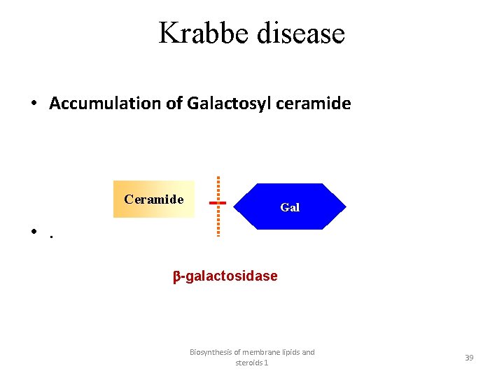 Krabbe disease • Accumulation of Galactosyl ceramide Ceramide Gal • . b-galactosidase Biosynthesis of