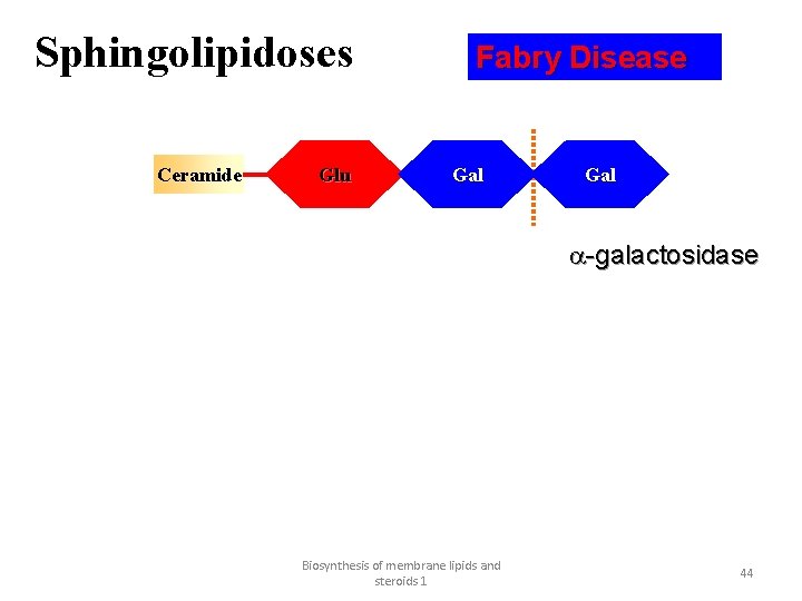 Sphingolipidoses Ceramide Glu Fabry Disease Gal a-galactosidase Biosynthesis of membrane lipids and steroids 1