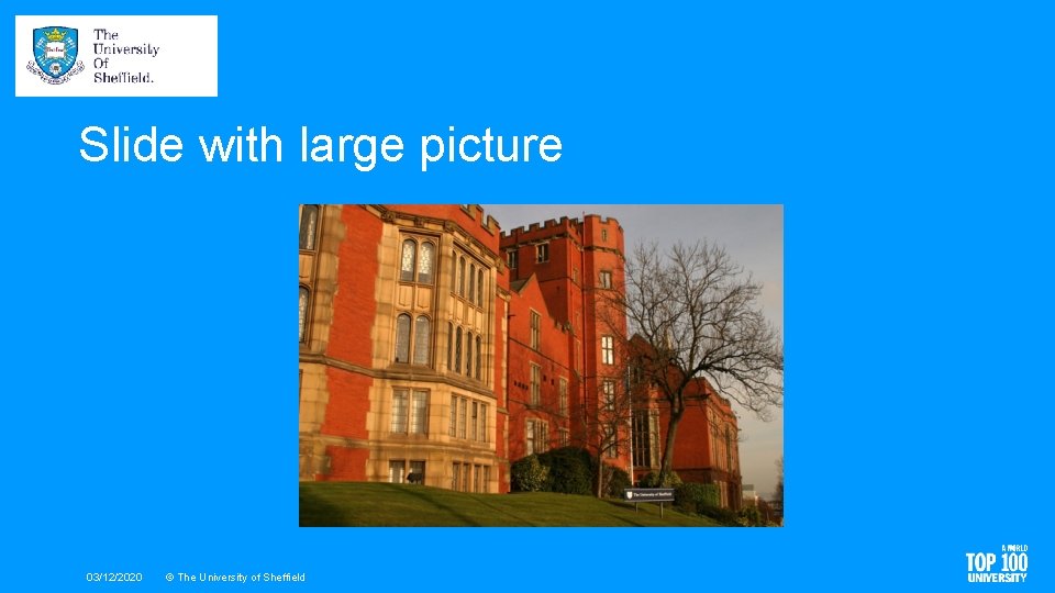 Slide with large picture 03/12/2020 © The University of Sheffield 