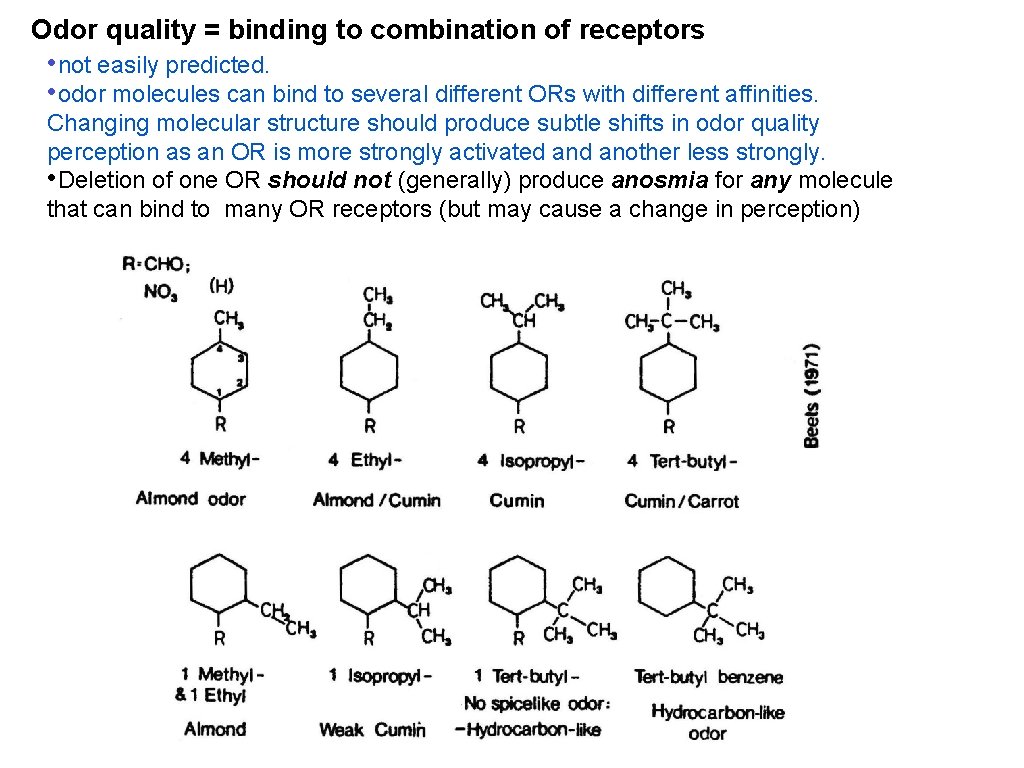 Odor quality = binding to combination of receptors • not easily predicted. • odor