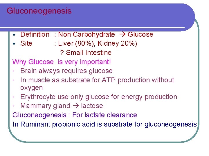 Gluconeogenesis Definition Non Carbohydrate Glucose Site Liver 80