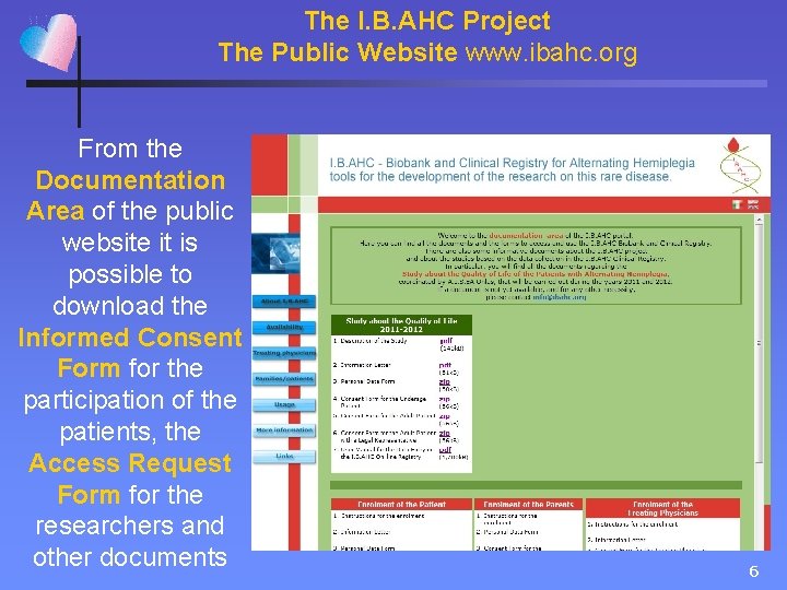 The I. B. AHC Project The Public Website www. ibahc. org From the Documentation