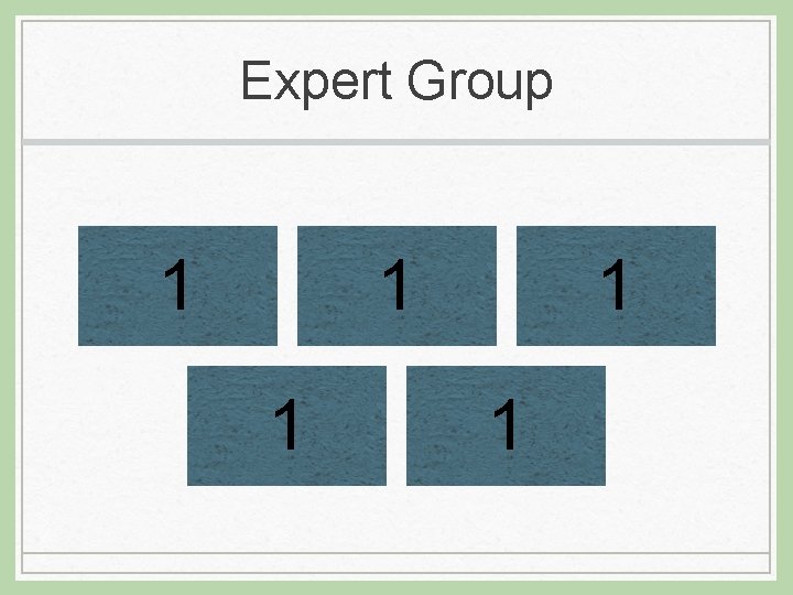 Expert Group 1 1 1 