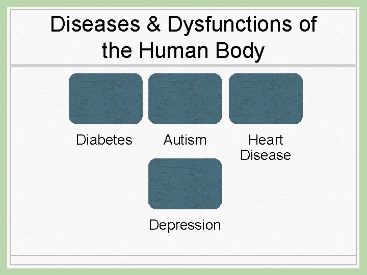 Diseases & Dysfunctions of the Human Body Diabetes Autism Depression Heart Disease 