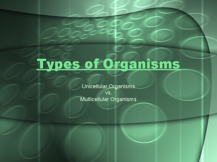 Types of Organisms Unicellular Organisms vs. Multicellular Organisms 