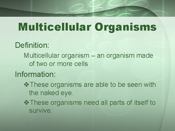 Multicellular Organisms Definition: Multicellular organism – an organism made of two or more cells