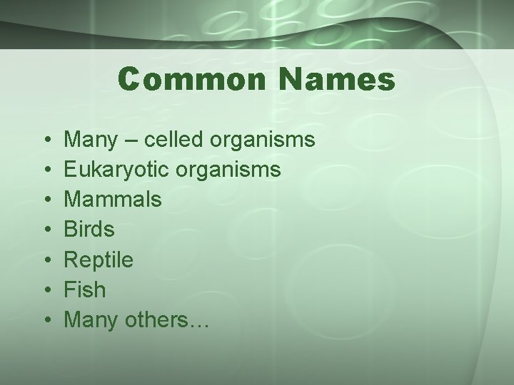Common Names • • Many – celled organisms Eukaryotic organisms Mammals Birds Reptile Fish