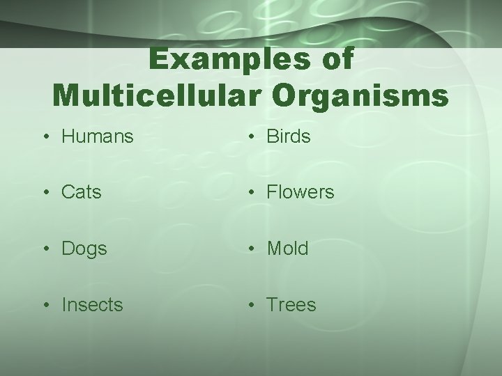 Examples of Multicellular Organisms • Humans • Birds • Cats • Flowers • Dogs