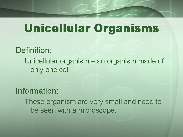 Unicellular Organisms Definition: Unicellular organism – an organism made of only one cell Information: