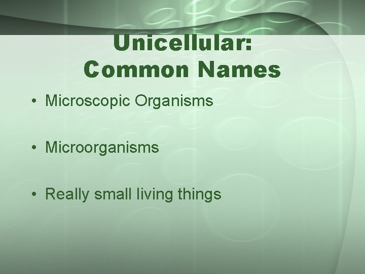 Unicellular: Common Names • Microscopic Organisms • Microorganisms • Really small living things 